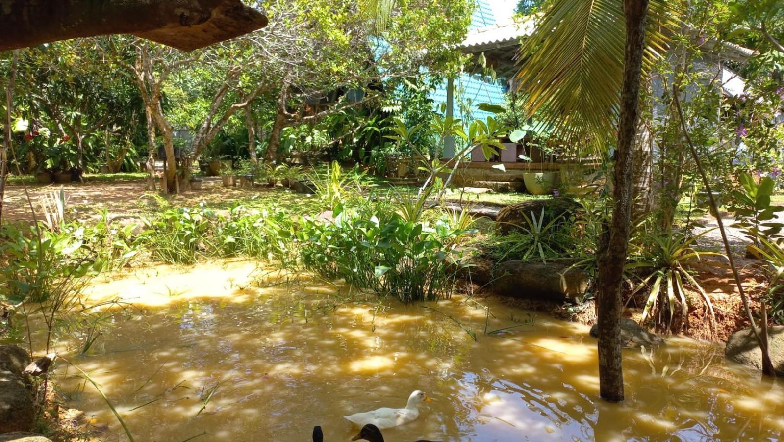 Villa Ovita Talpe Buitenkant foto