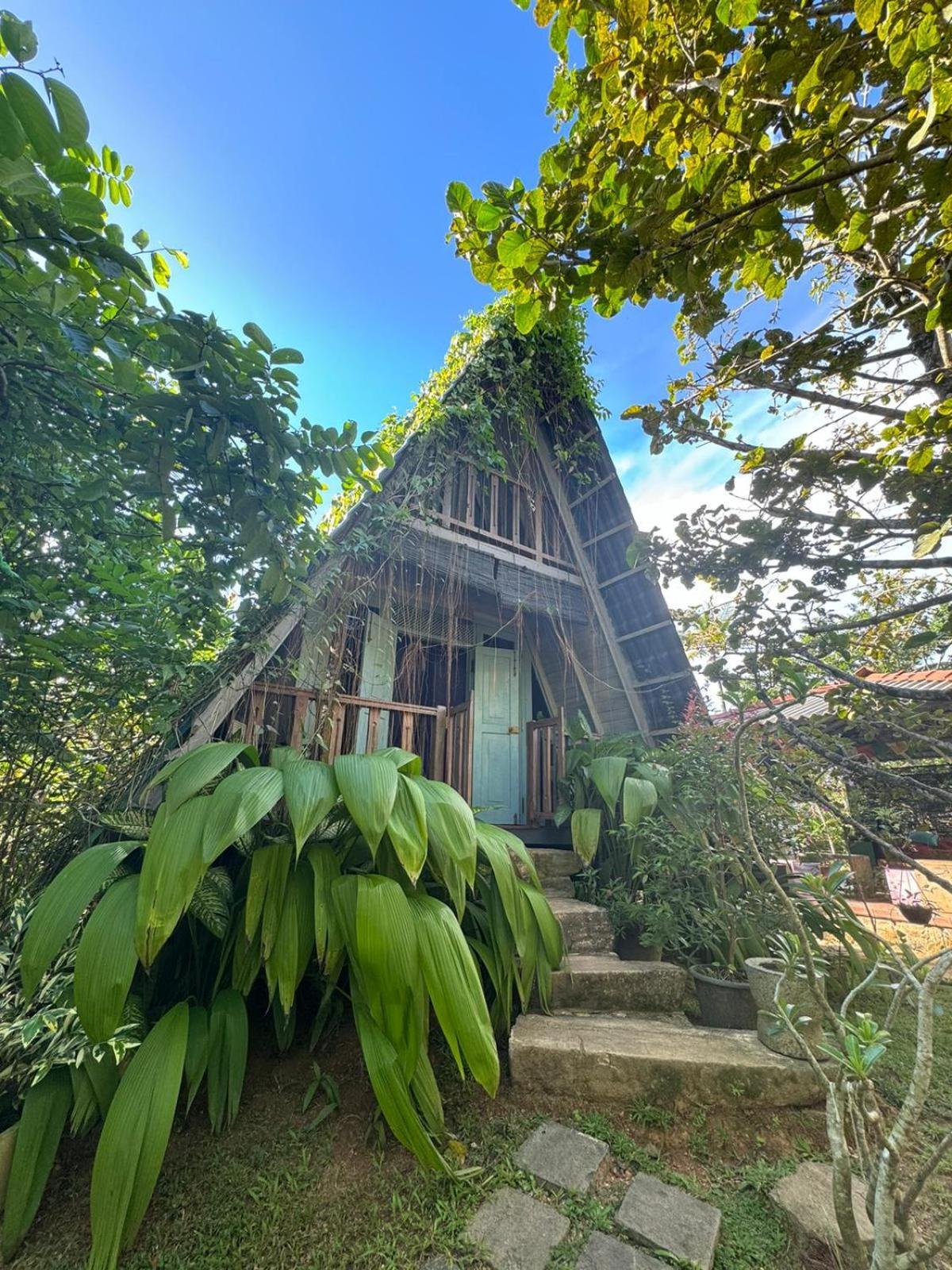 Villa Ovita Talpe Buitenkant foto